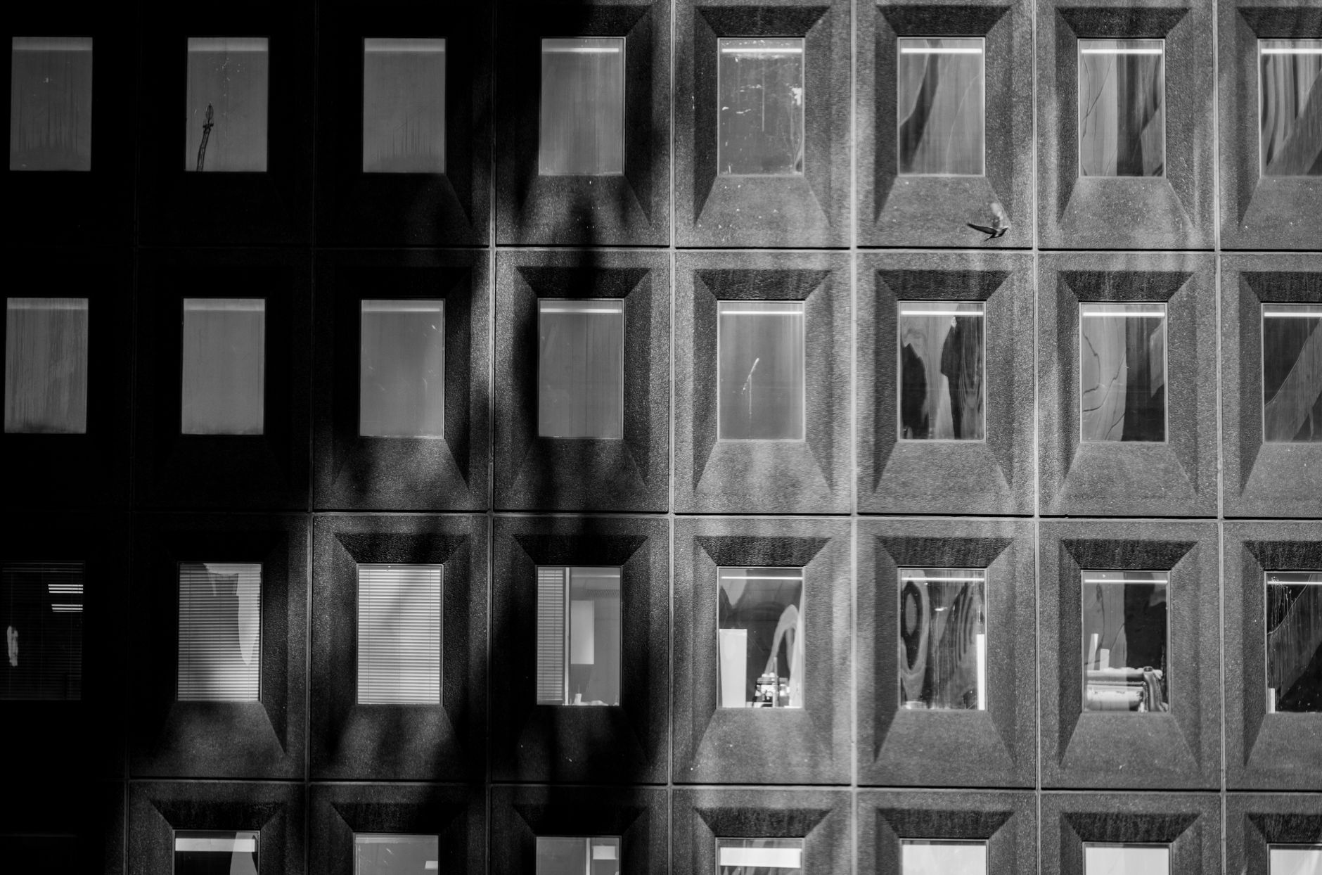Fachada de oficinas con ventanas en cuadrícula