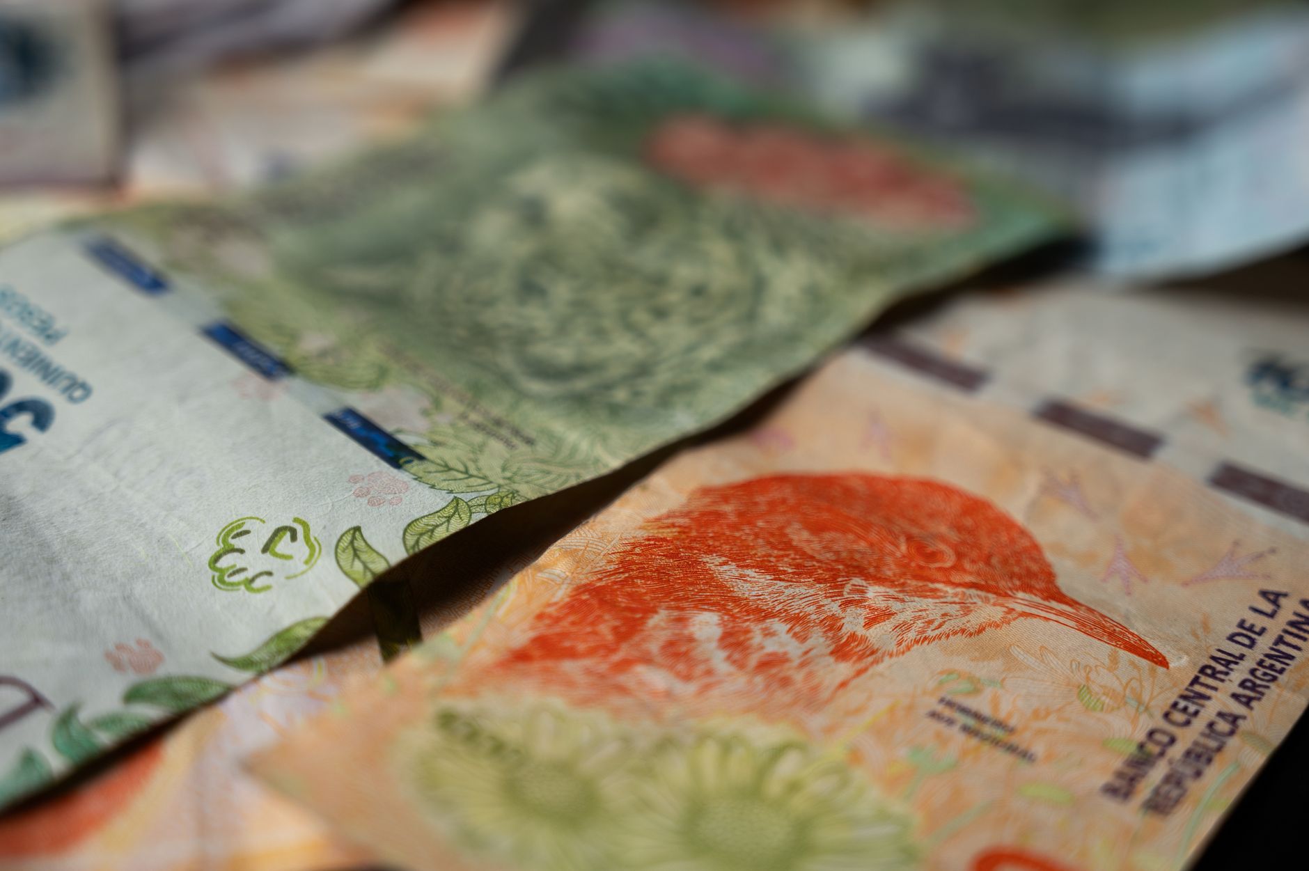Billetes de peso argentino en primer plano